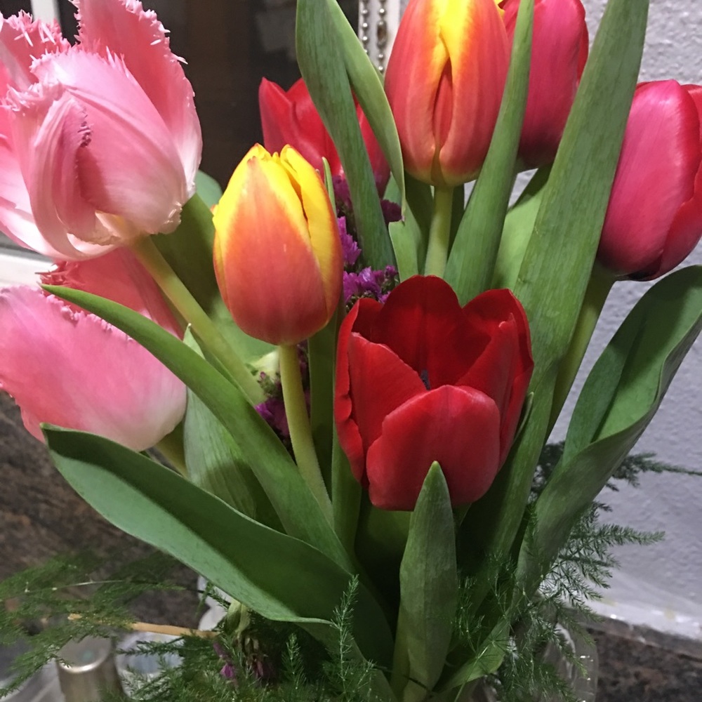 Meet your Posher, Sally